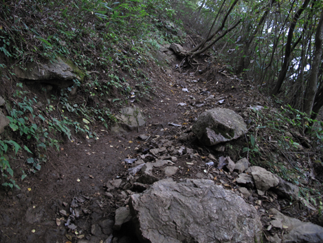 20151021hike (82)